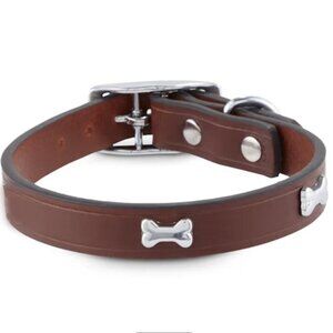 Small Dog Collar: Bone Studded Brown Leather, XXS